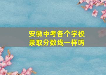 安徽中考各个学校录取分数线一样吗