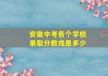 安徽中考各个学校录取分数线是多少