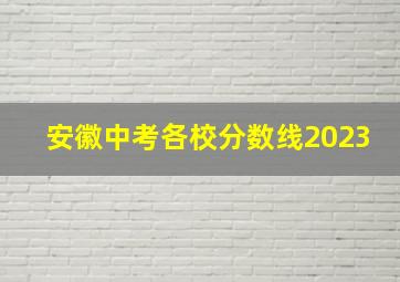 安徽中考各校分数线2023