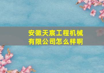 安徽天宸工程机械有限公司怎么样啊