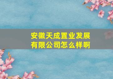 安徽天成置业发展有限公司怎么样啊