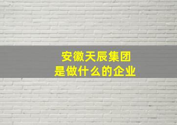 安徽天辰集团是做什么的企业