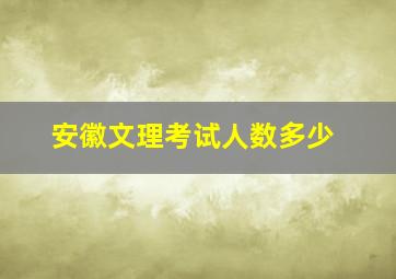 安徽文理考试人数多少