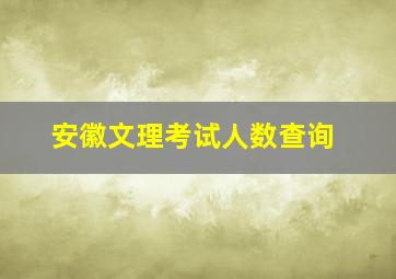 安徽文理考试人数查询