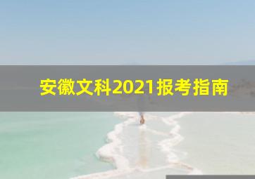 安徽文科2021报考指南