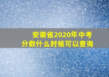 安徽省2020年中考分数什么时候可以查询