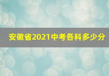 安徽省2021中考各科多少分