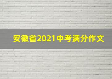 安徽省2021中考满分作文