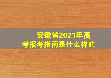 安徽省2021年高考报考指南是什么样的