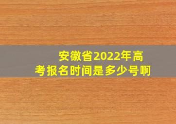 安徽省2022年高考报名时间是多少号啊