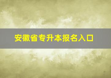 安徽省专升本报名入口