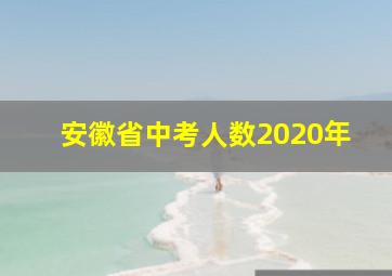 安徽省中考人数2020年