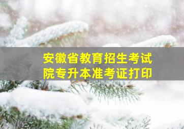 安徽省教育招生考试院专升本准考证打印