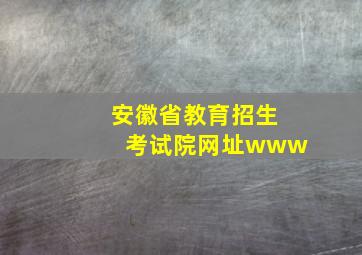 安徽省教育招生考试院网址www