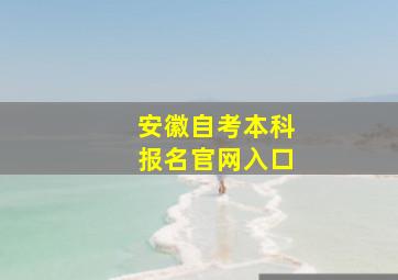 安徽自考本科报名官网入口