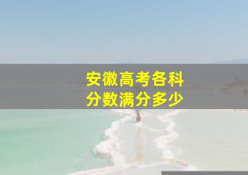 安徽高考各科分数满分多少