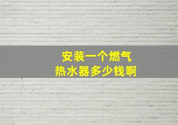 安装一个燃气热水器多少钱啊