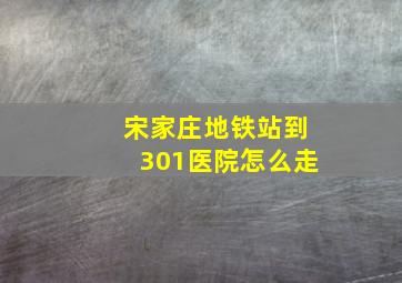 宋家庄地铁站到301医院怎么走