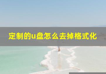 定制的u盘怎么去掉格式化