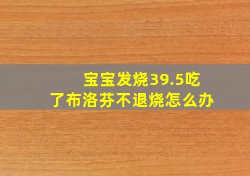 宝宝发烧39.5吃了布洛芬不退烧怎么办