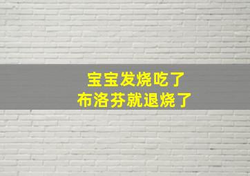 宝宝发烧吃了布洛芬就退烧了