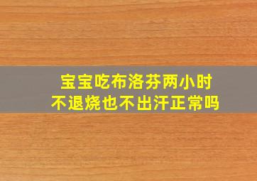 宝宝吃布洛芬两小时不退烧也不出汗正常吗