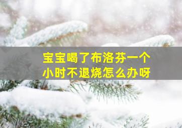 宝宝喝了布洛芬一个小时不退烧怎么办呀