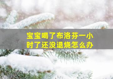 宝宝喝了布洛芬一小时了还没退烧怎么办