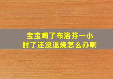 宝宝喝了布洛芬一小时了还没退烧怎么办啊