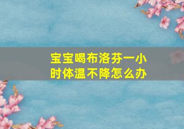 宝宝喝布洛芬一小时体温不降怎么办