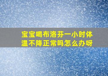 宝宝喝布洛芬一小时体温不降正常吗怎么办呀