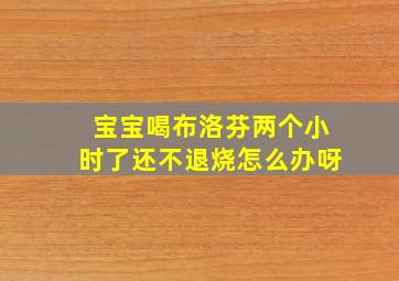 宝宝喝布洛芬两个小时了还不退烧怎么办呀