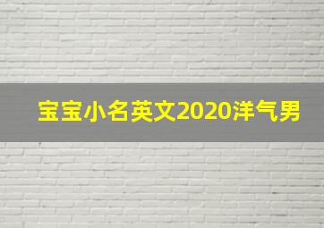 宝宝小名英文2020洋气男