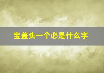 宝盖头一个必是什么字