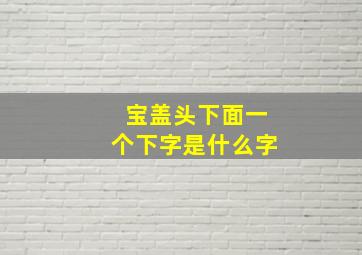 宝盖头下面一个下字是什么字