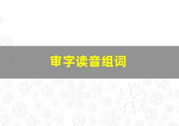 审字读音组词