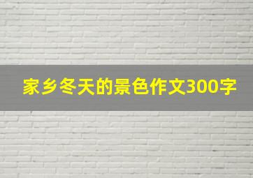 家乡冬天的景色作文300字