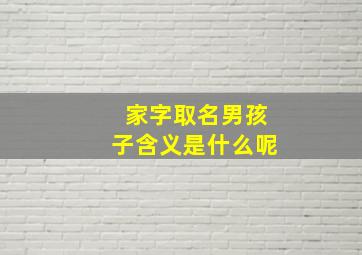 家字取名男孩子含义是什么呢