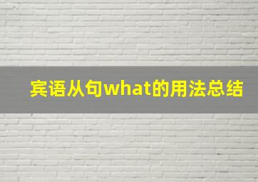 宾语从句what的用法总结