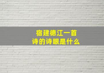 宿建德江一首诗的诗眼是什么