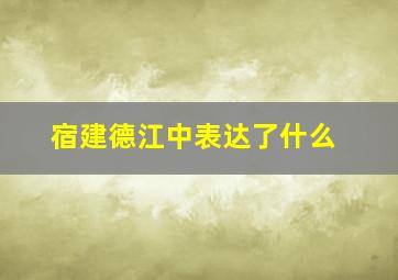 宿建德江中表达了什么