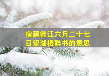 宿建德江六月二十七日望湖楼醉书的意思