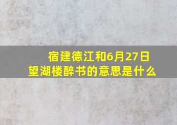 宿建德江和6月27日望湖楼醉书的意思是什么