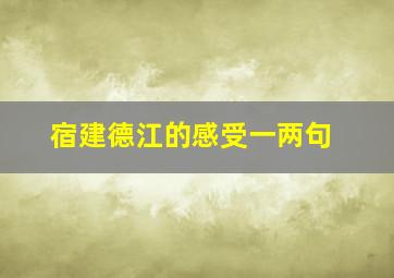 宿建德江的感受一两句