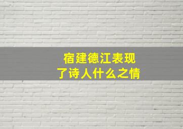 宿建德江表现了诗人什么之情