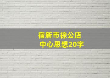 宿新市徐公店中心思想20字