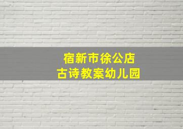 宿新市徐公店古诗教案幼儿园