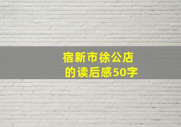 宿新市徐公店的读后感50字