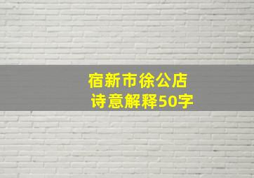 宿新市徐公店诗意解释50字