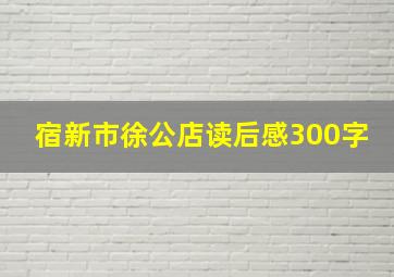 宿新市徐公店读后感300字